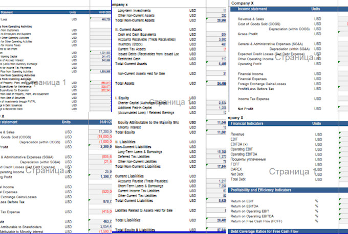 provide financial forecasting services